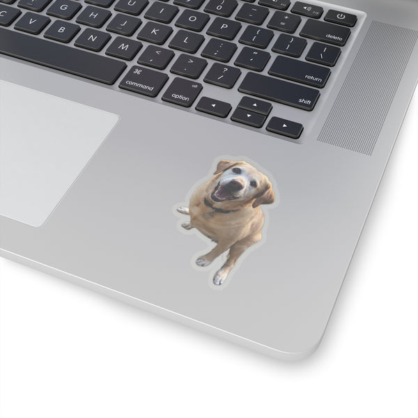 Custom Dog Photo Stickers