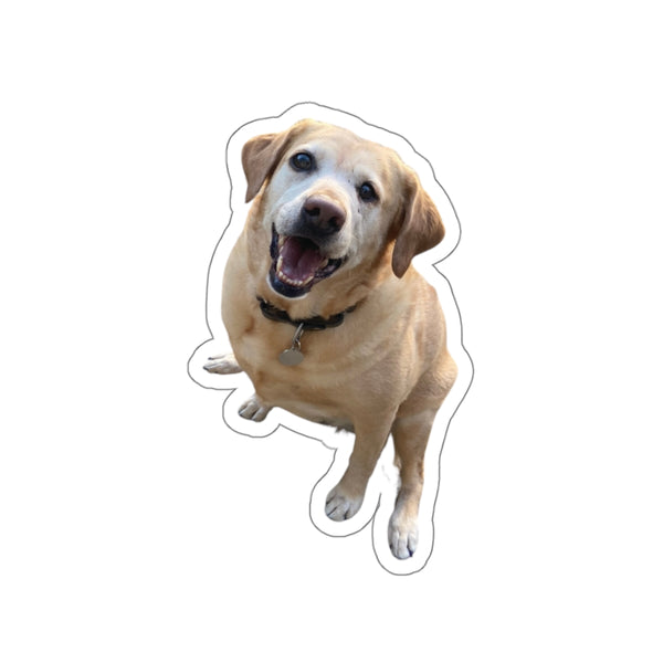 Custom Dog Photo Stickers