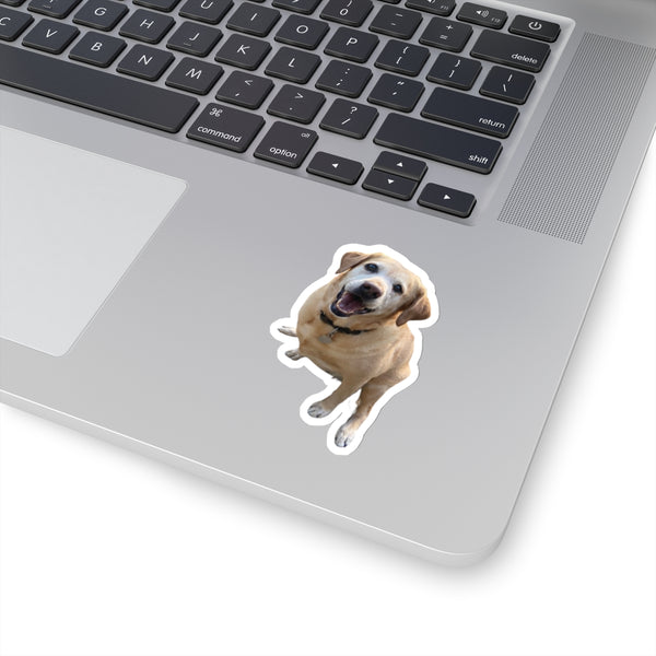 Custom Dog Photo Stickers