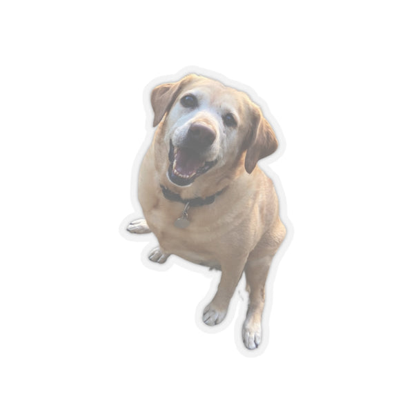 Custom Dog Photo Stickers