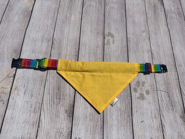 Rainbow Pride Collar