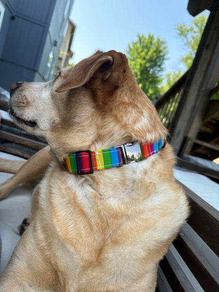Rainbow Pride Collar