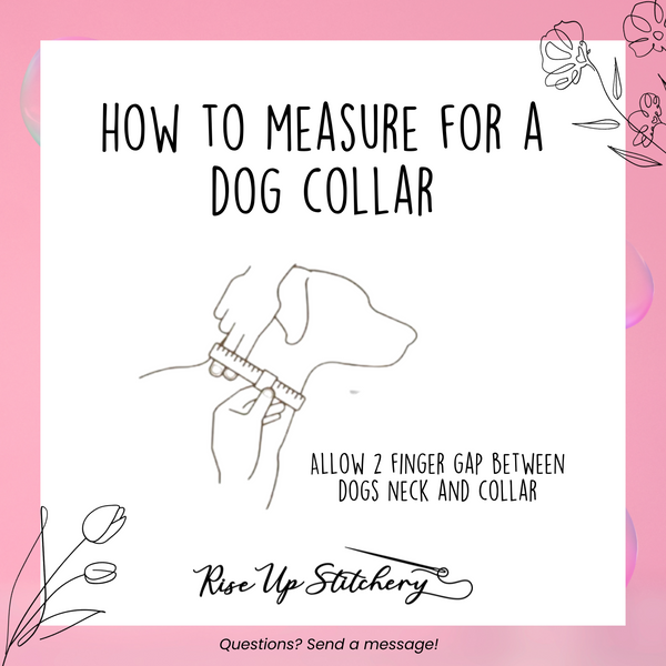 Rainbow Pride Collar