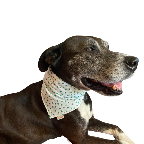 Shamrock Bandana